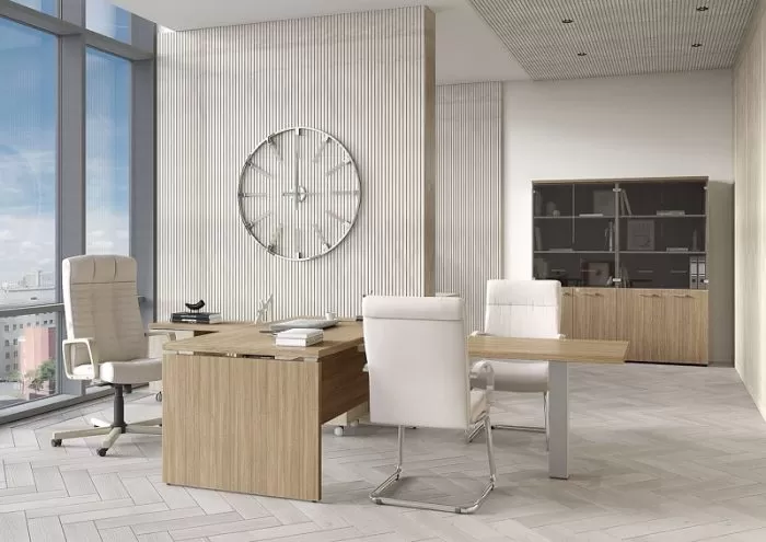 Мебель в кабинет руководителя Патриот