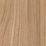 Вяз Светлый