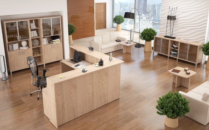 фото Ресепшен DEX 1