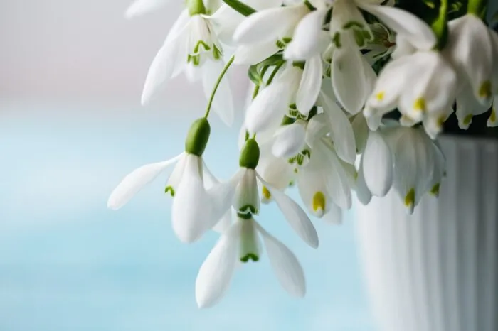 Режим работы в период майских праздников